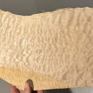 Live Edge Cut Off-#16669-Quilted Maple-28.50"x7"-9"-7"x1.25"-.50"