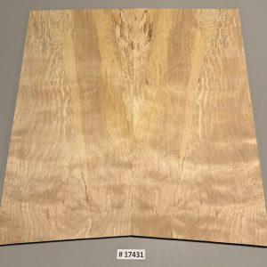 Drop Top-# 17431—Spalted Birch 23.25”x22.75”—21.25”x.29”