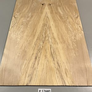 Drop Top-# 17440—Spalted Birch 23.75”x17”x.28”