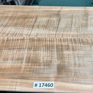 Drop Top-# 17460—3A Grade Red Spalted Red Leaf Flame Maple 21”x14.50”x.22”
