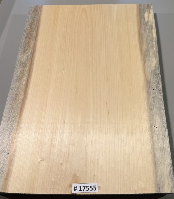 Body Blank-# 17555—Blue Northeastern White Pine 1-Piece 23.25”x15.50”x2”—-1.82 LB/BF - Image 3