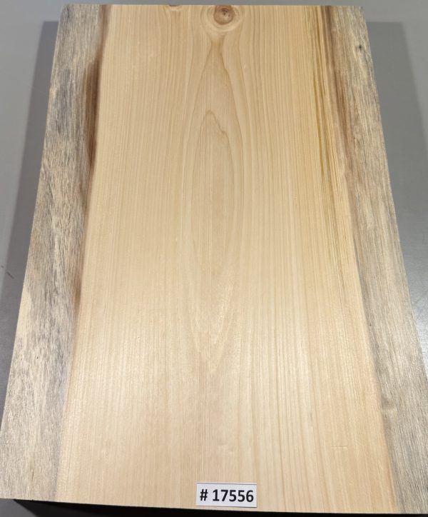 Body Blank-# 17556—Blue Northeastern White Pine 1-Piece 23.25”x15.50”x2”—-1.86 LB/BF
