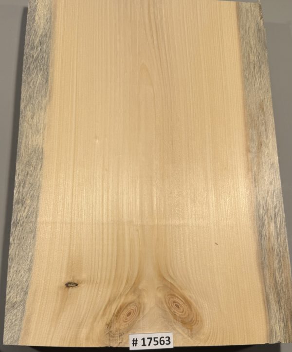 Body Blank-# 17563—Blue Northeastern White Pine 1-Piece 20”x14”x2”—-1.93 LB/BF - Image 3