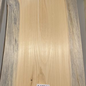 Body Blank-# 17566—Blue Northeastern White Pine 1-Piece 20”x14”x2”—1.95 LB/BF