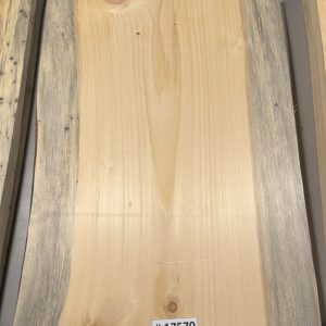 Body Blank-# 17570—Blue Northeastern White Pine 1-Piece 21.75”x14.50”x2”—-1.94 LB/BF