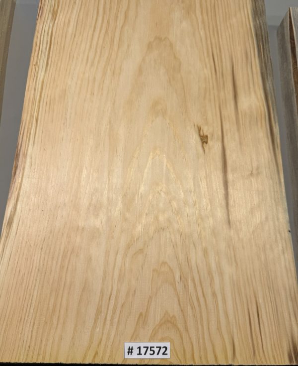 Body Blank-# 17572—Blue Northeastern White Pine 1-Piece 21.50”x14”x2”—2.65 LB/BF - Image 2