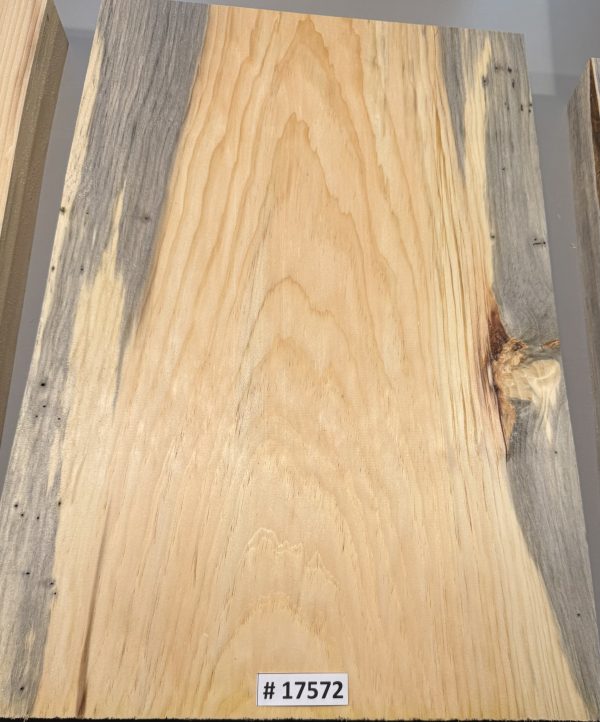 Body Blank-# 17572—Blue Northeastern White Pine 1-Piece 21.50”x14”x2”—2.65 LB/BF - Image 3