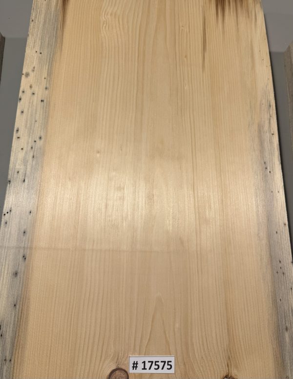 Body Blank-# 17575—Blue North Eastern White Pine 1-Piece 23.50”x15”x2”—-1.98 LB/BF