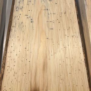 Body Blank-# 17579—Blue Northeastern White Pine 1-Piece Black 20.50”x14”—12.75””x2”—-2.20 LB/BF