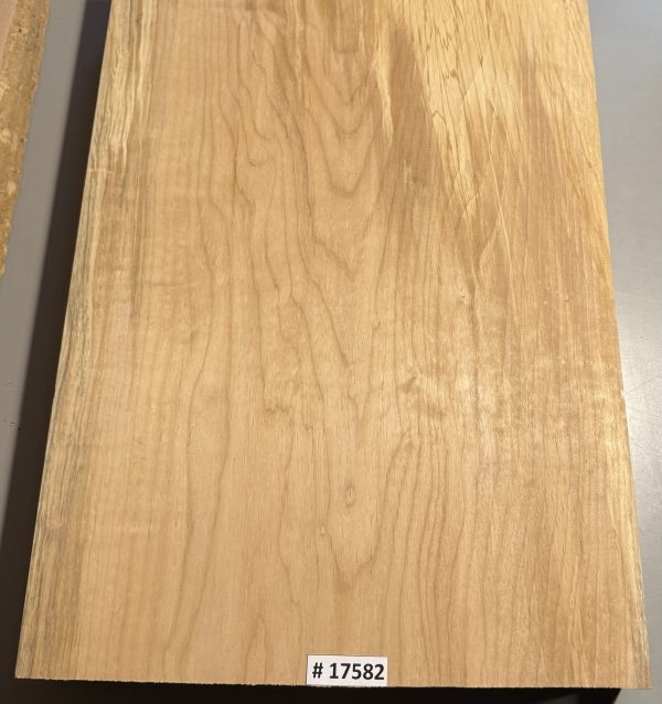 Body Blank-# 17582—Rainbow Alder 1-Piece 22.50”x16.75”x2”—- 2.64 LBS/BF - Image 3