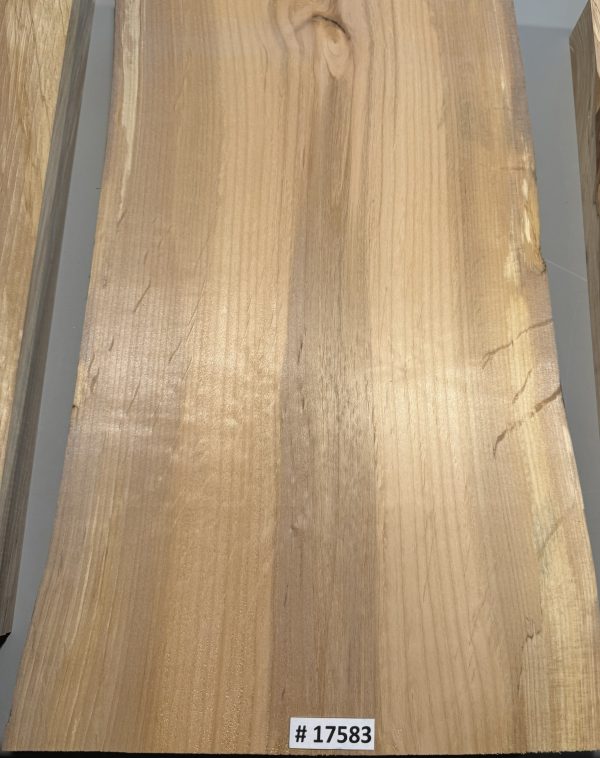 Body Blank-# 17583–Rainbow Alder 1-Piece 23.50”x14.50”—13”x2”—- 2.43 LBS/BF - Image 3