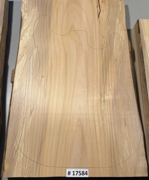 Body Blank-# 17584—Rainbow Alder 1-Piece 23”x13.50”—13.25”—13.75”x2”—- 2.30 LBS/BF - Image 2