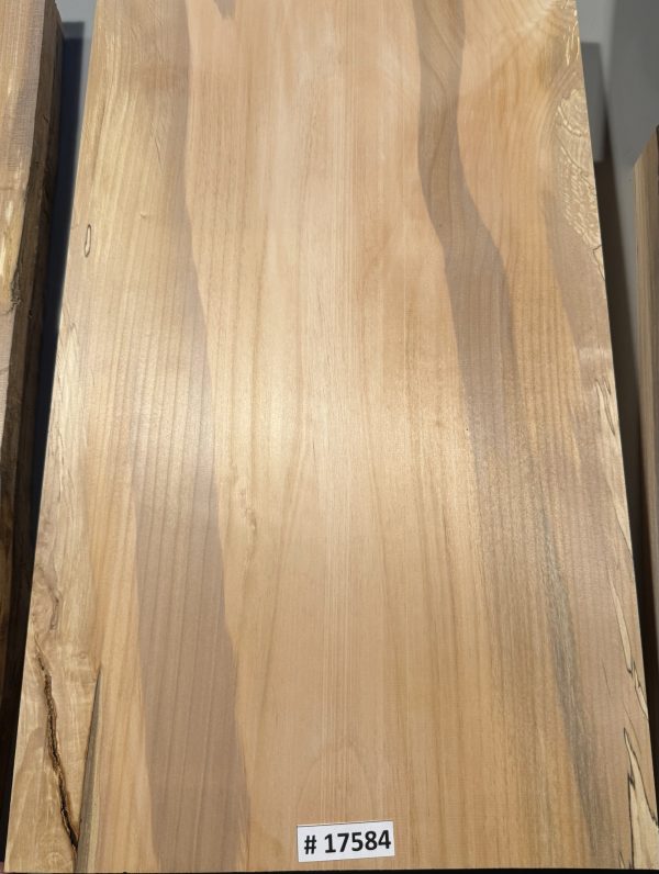 Body Blank-# 17584—Rainbow Alder 1-Piece 23”x13.50”—13.25”—13.75”x2”—- 2.30 LBS/BF - Image 3