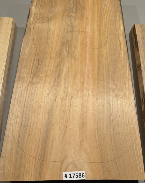 Body Blank-# 17586–Rainbow Alder 1-Piece 24”x14”x13.25”x12.50”x2”—- 2.39 LBS/BF - Image 2