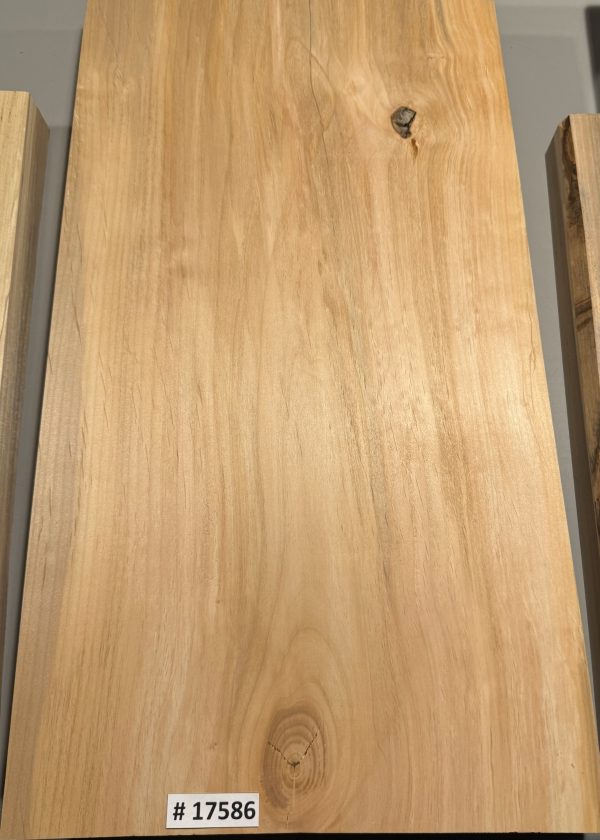 Body Blank-# 17586–Rainbow Alder 1-Piece 24”x14”x13.25”x12.50”x2”—- 2.39 LBS/BF - Image 3