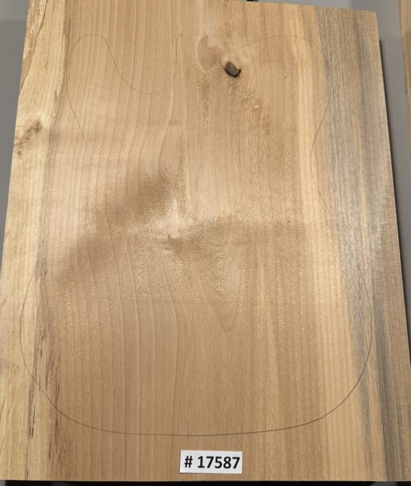 Body Blank-# 17587–B-Grade Rainbow Alder 1-Piece 19”x14.50”-14”-13.50”x2”—-2.68 LBs/BF - Image 3