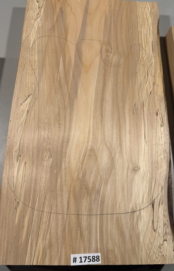 Body Blank-# 17588–Rainbow Alder 1-Piece 24.25”x13.50”-13.25”-12.75”x2”—2.31 LBS/BF
