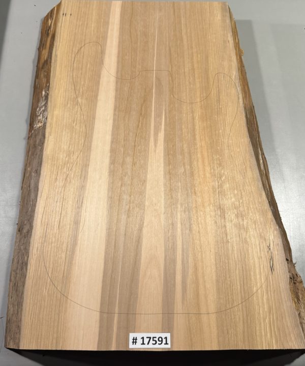 Body Blank-# 17591—Rainbow Alder 1-Piece 23.75”x14.25”—12.75”—12.50”x2”—-3 LBS/BF