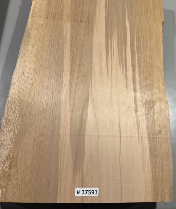 Body Blank-# 17591—Rainbow Alder 1-Piece 23.75”x14.25”—12.75”—12.50”x2”—-3 LBS/BF - Image 3