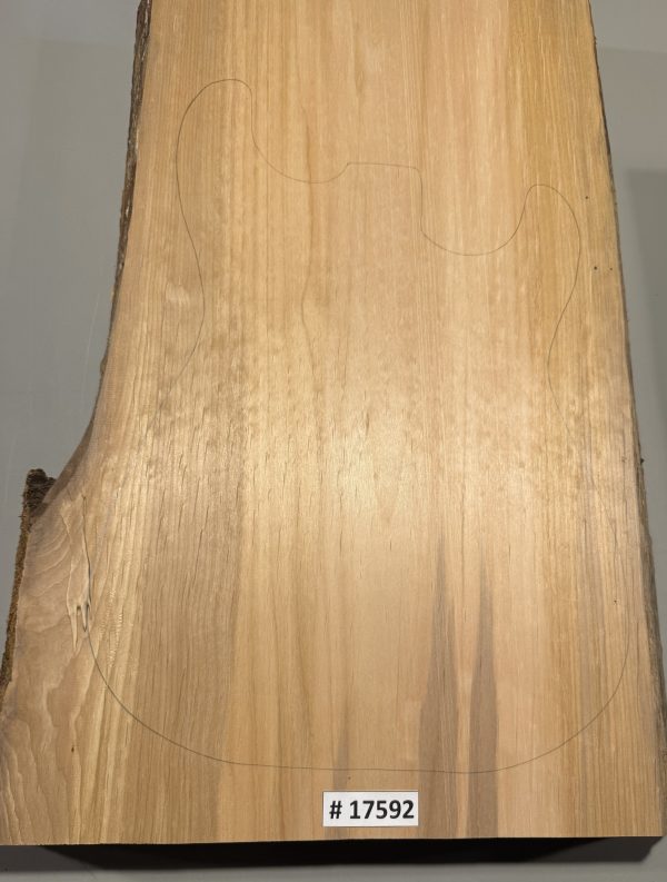 Body Blank-# 17592–Rainbow Alder 1-Piece 24”x14.75”—13”x2”—2.84 LBS/BF - Image 2