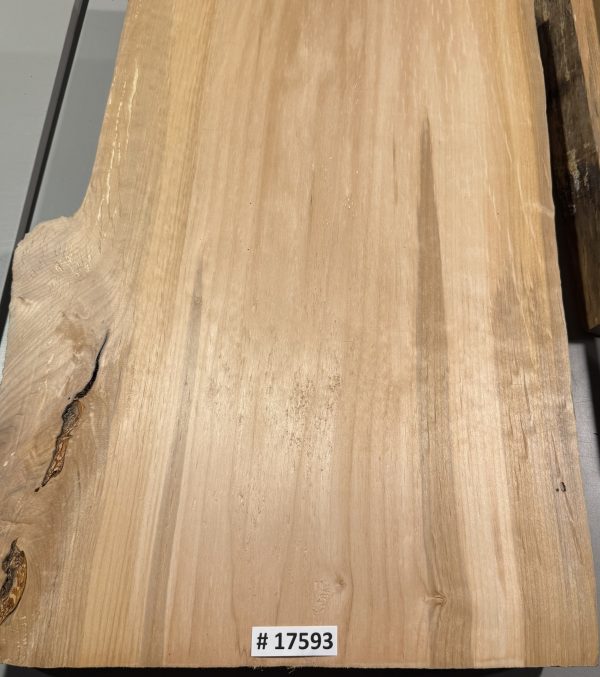 Body Blank-# 17593—Rainbow Alder 1–Piece 23”x14.50”-14”-13”x2”—-2.90 LBS/BF - Image 3