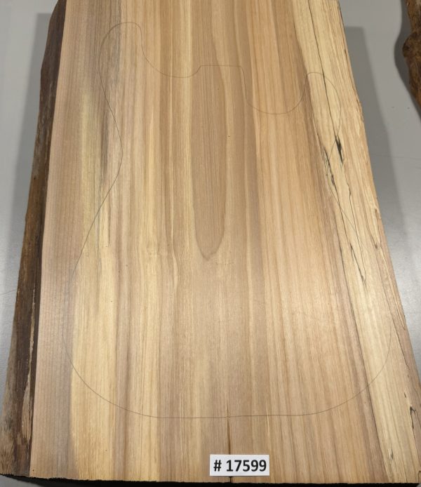 Body Blank-# 17599—Rainbow Alder 1-Piece 22”x14.50”—13.50”x2”—-3.54 LBS/BF