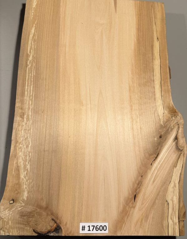 Body Blank-# 17600—B-Grade Rainbow Alder 1-Piece 22”x13.25”-13”x1.95”—-3.36 LBS/BF - Image 4