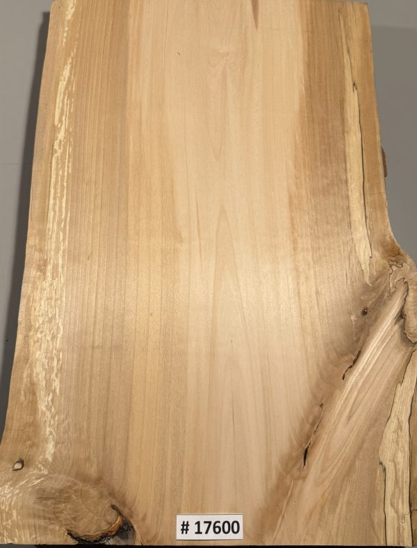 Body Blank-# 17600—B-Grade Rainbow Alder 1-Piece 22”x13.25”-13”x1.95”—-3.36 LBS/BF - Image 5