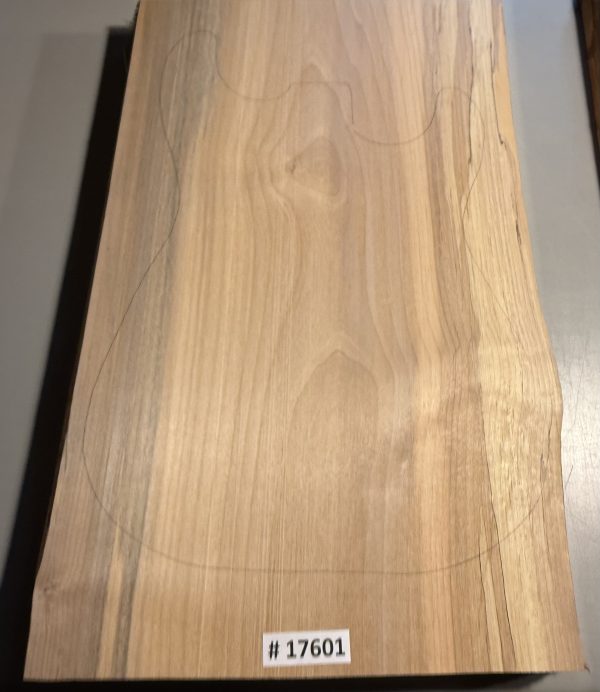 Body Blank-# 17601—B-Grade Rainbow Alder 1-Piece 22”x13.50”x2”—-2.63 LBS/BF - Image 2