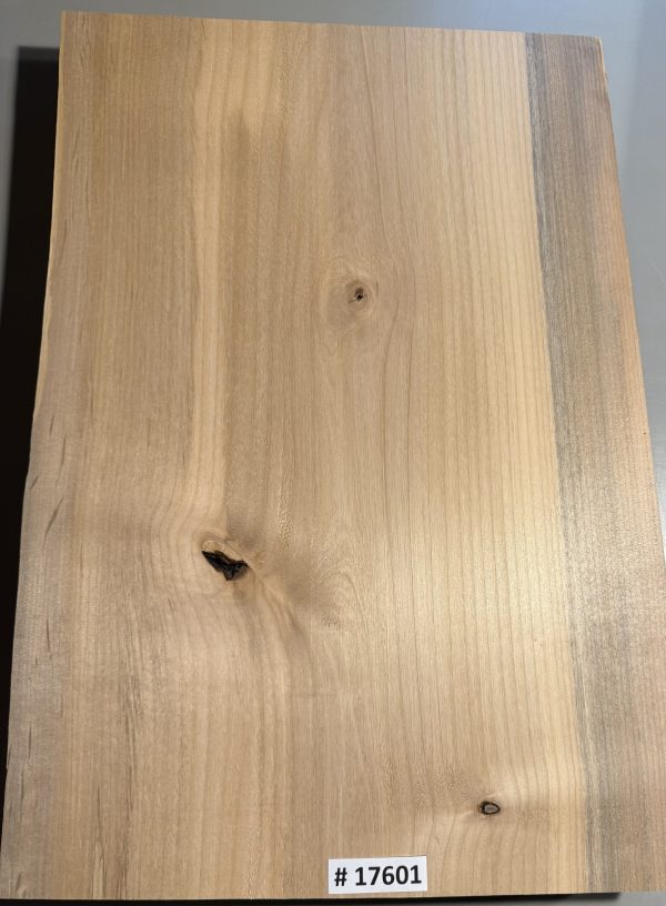 Body Blank-# 17601—B-Grade Rainbow Alder 1-Piece 22”x13.50”x2”—-2.63 LBS/BF - Image 3