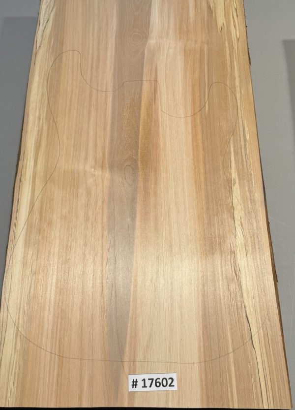 Body Blank-# 17602—B-Grade Rainbow Alder 24.50”x13”x2”—-2.50 LBS/BF