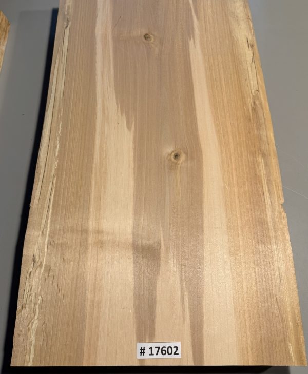 Body Blank-# 17602—B-Grade Rainbow Alder 24.50”x13”x2”—-2.50 LBS/BF - Image 3