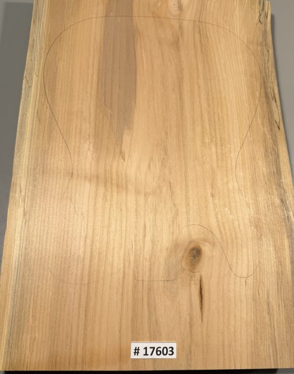 Body Blank-# 17603—Rainbow Alder 1-Piece 21.50”x13.50”—13”—12.50”x2”—-2.50 LBS/BF - Image 2