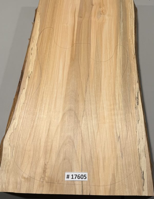 Body Blank-# 17605–Rainbow Alder 1-Piece 23.75”x14.50”—13”—12.75”x2”—-2.45 LBS/BF - Image 2