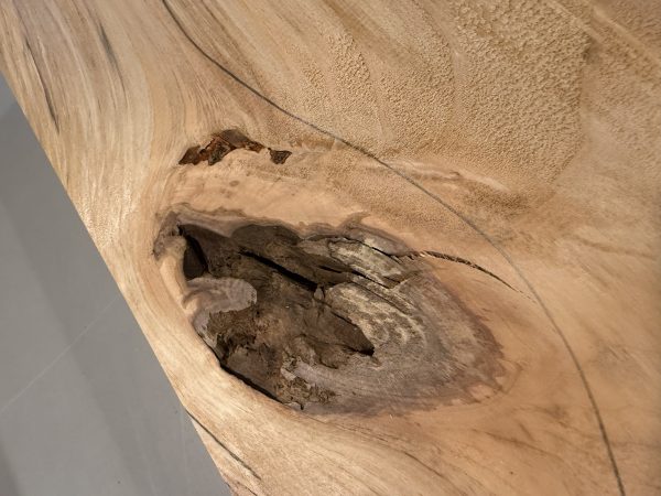 Body Blank-# 17606—B-Grade Rainbow Alder 1-Piece 24”x14.75”—14.50”x1.84”—-2.29 LBS/BF - Image 4