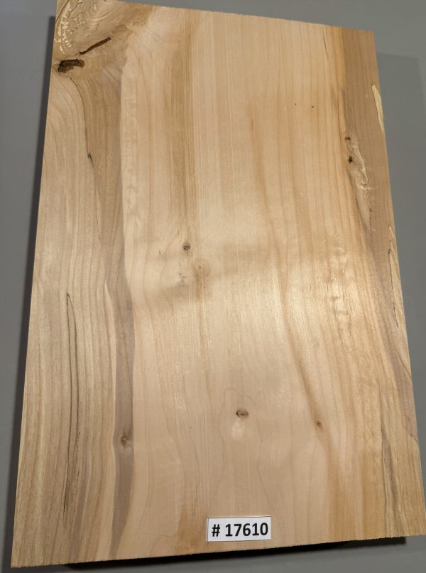 Body Blank-# 17610—B-Grade Rainbow Alder 21.50”x14.25”—14”—13.75”x1.85”—-2.46 LBS/BF