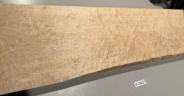 Neck Blank-# 17617—4A Grade Colored Birdseye Maple 30”x9”—8”x1.21” - Image 3