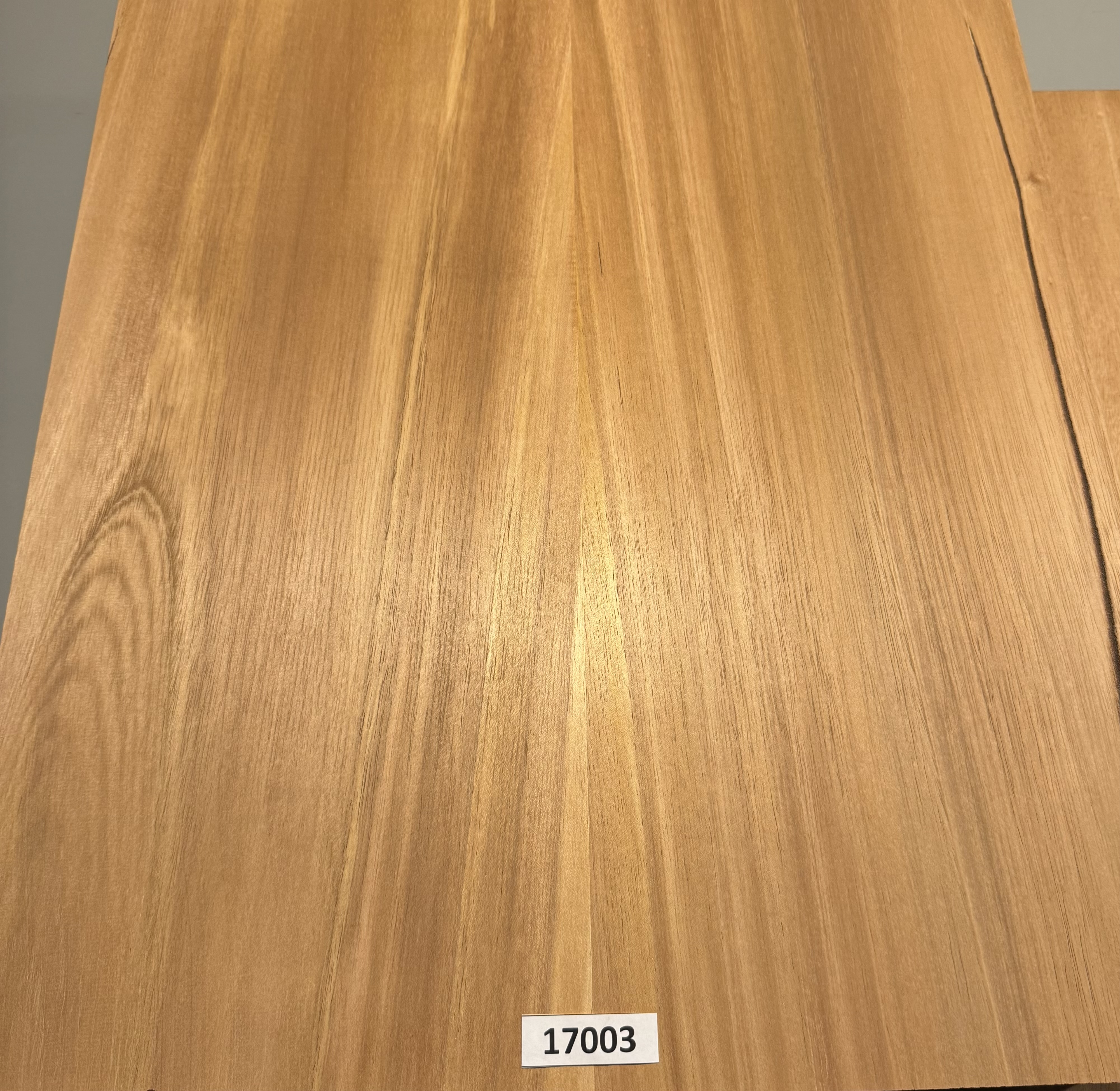 Body Blank-#17003–Explorer Size Spanish Cedar 2-Piece Glued Ultra Light Weight 23.87”x20.50”x1.85”—2.20 LB/BF - Image 4